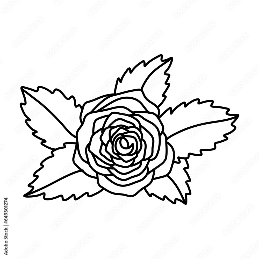 Fototapeta premium Hand drawn rose flower isolated on white background. stock vector illustration.
