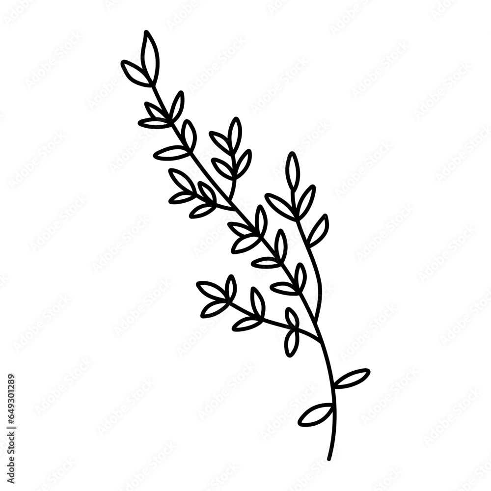 Hand drawn thyme branch with leaves, monochrome sketch style vector illustration isolated on white background - obrazy, fototapety, plakaty 