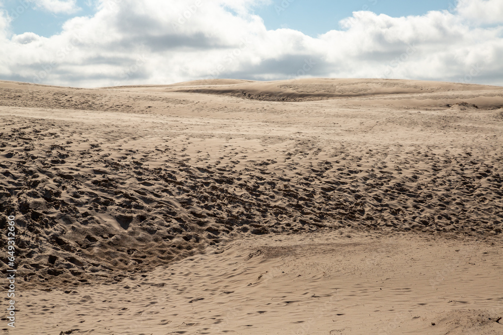 Råbjerg Mile, Sanddüne, Dänemark Råbjerg Mile, Sanddüne, Dänemark