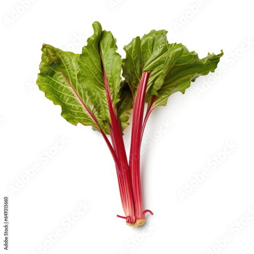 Chinese rhubarb Rheum officinale on White background, HD