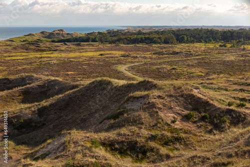 Skagen Dünenlandschaft, Dänemark