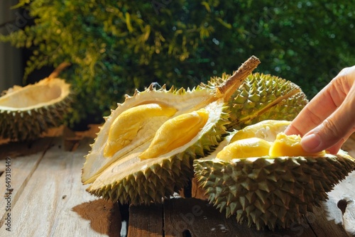 Durian musang king on the table over dark background photo