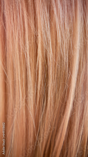 colorful background of on a young woman head after having her hair changed to a fresh color by a hair salon. Lots of hair as a beautiful, naturally lined background with Copy Space for text.