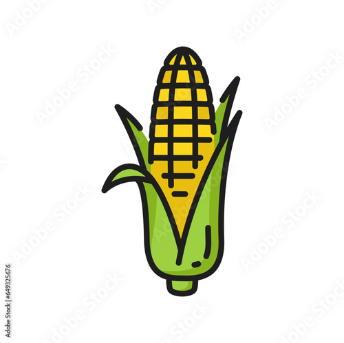 Corn cob yellow isolated maize with leaves color line icon. Vector maize cereal grain, natural food. Sweetcorn veggie, popcorn ingredient
