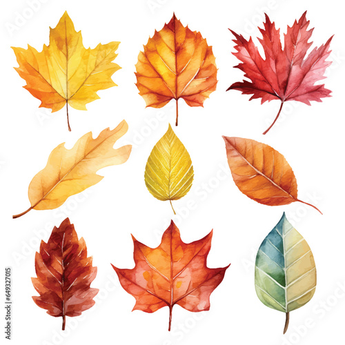 Watercolor set of autumn leaves isolated on white background