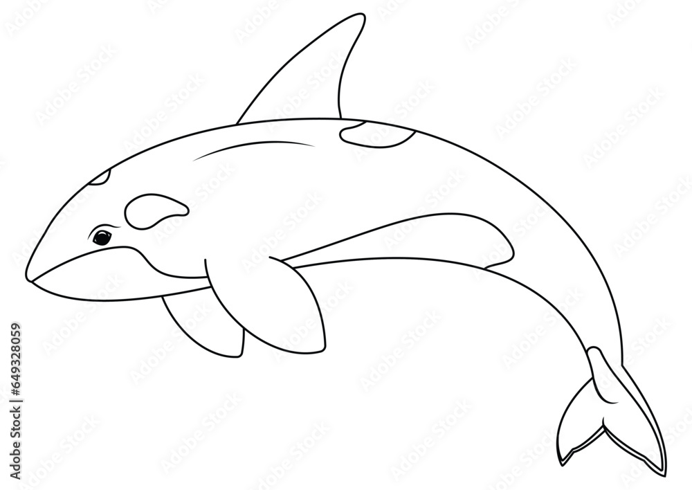 Obraz premium Black and white orca cartoon character vector. Coloring page of cartoon orca