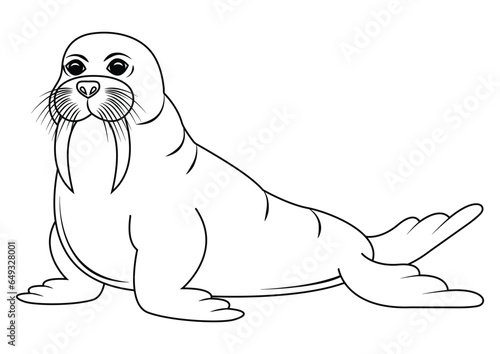 Black and white walrus cartoon character vector. Coloring page of cartoon walrus