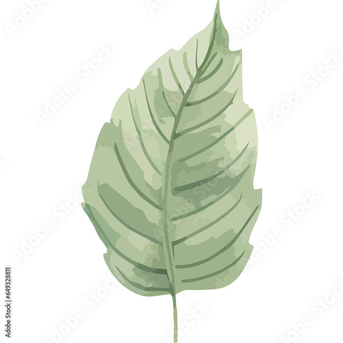 green leaf plant garden nature icon