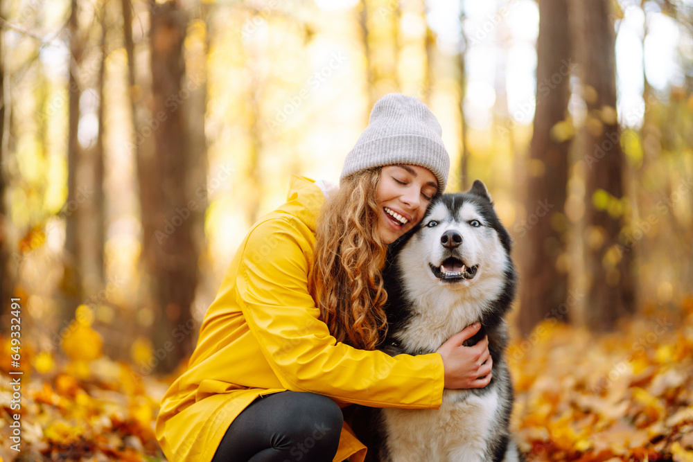 Happy woman with her husky dog walks in the autumn forest. A cheerful pet spends time with its owner outdoors. Concept of relaxation, fun. Happy woman with her husky dog walks in the autumn forest. A cheerful pet spends time with its owner outdoors. Concept of relaxation, fun.