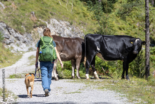 Bergwanderung mit Hund