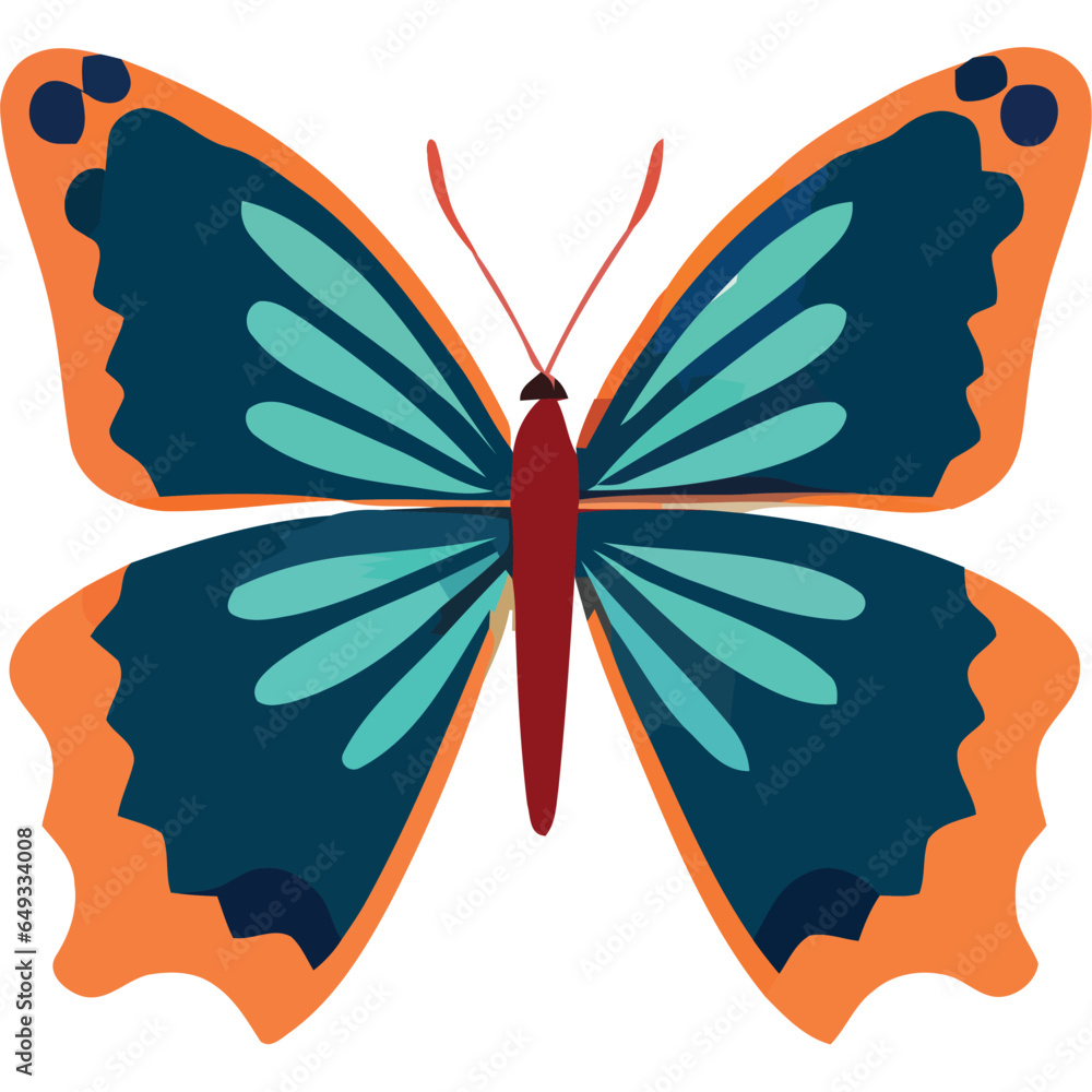 orange and blue butterfly with wings open orange and blue butterfly with wings open