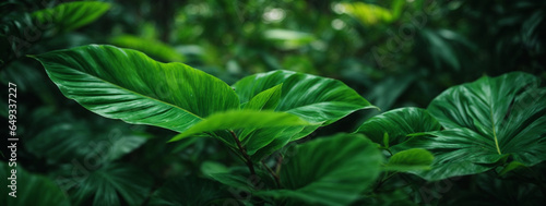 leaf texture  foliage nature on a green background  green  grass  vegetation