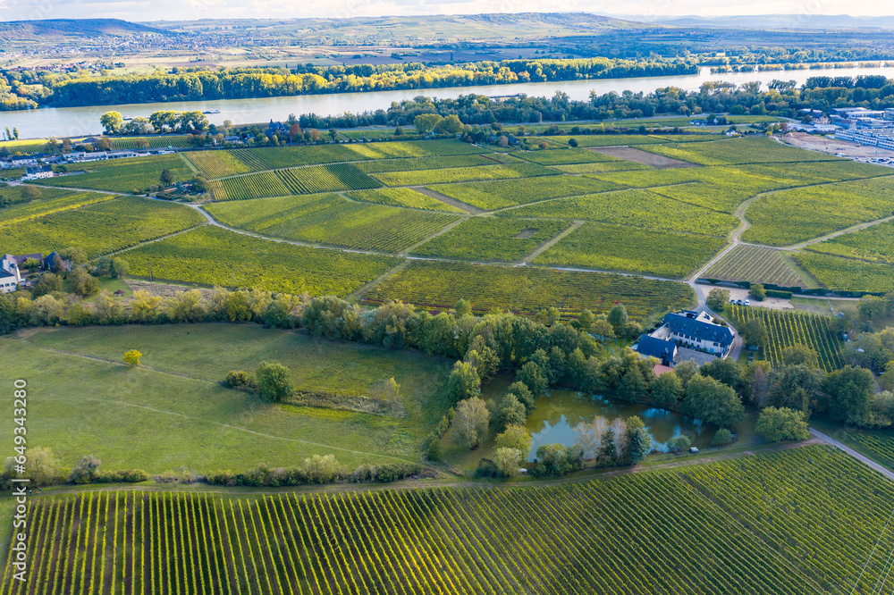 Aerial view of the vineyards around Johannisberg/Germany in the Rheingau with the Rhine in the background