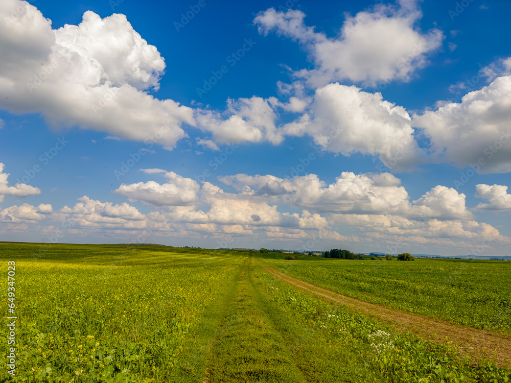 Golden fields bask in the warm embrace of the sun, under a canvas of fluffy white clouds. Nature's painting on a perfect sunny day.