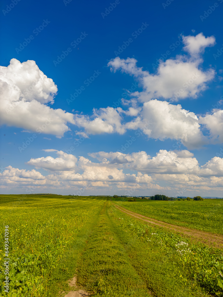 Golden fields bask in the warm embrace of the sun, under a canvas of fluffy white clouds. Nature's painting on a perfect sunny day. Golden fields bask in the warm embrace of the sun, under a canvas of fluffy white clouds. Nature's painting on a perfect sunny day.
