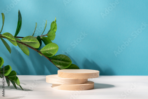 Wooden slice podiums and green plant branch on blue background. Concept scene stage showcase for new product, promotion sale, banner, presentation, cosmetic. Wooden stand studio empty
