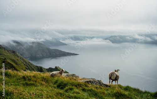 Insel Runde - Norwegen