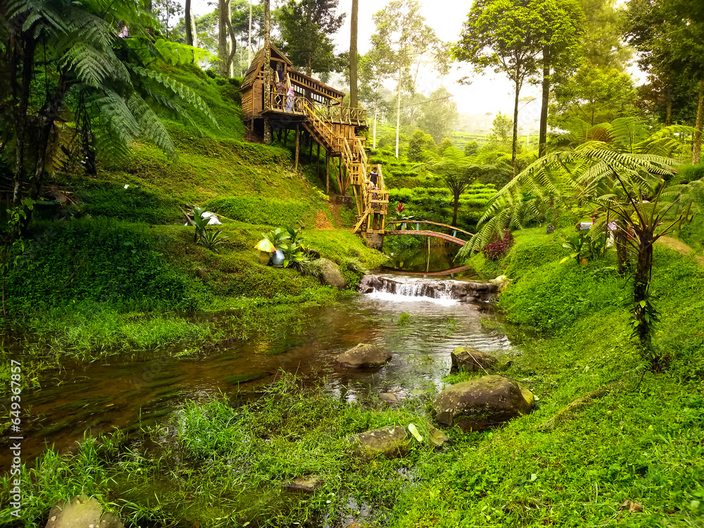 Amazing tree house set in a peaceful forest and river in the morning. Fantasy tree house in the middle of the forest