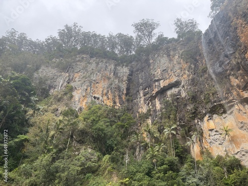 springbrook national park photo