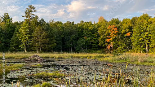 фотографія Fall Countryside views from Birchwood Wisconsin