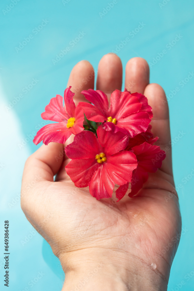 Manicure, spa and wellness concept. Woman's hand holding red flowers in blue water background. Vertical shot. Manicure, spa and wellness concept. Woman's hand holding red flowers in blue water background. Vertical shot.