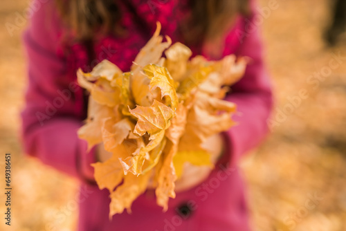 Woman holds yellow bouquet of dry autumn leaf close-up in hand in fall season copy space and nature concept