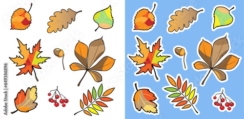 autumn leaves set