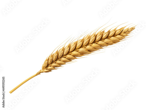 Ear of wheat isolated on transparent or white background, png