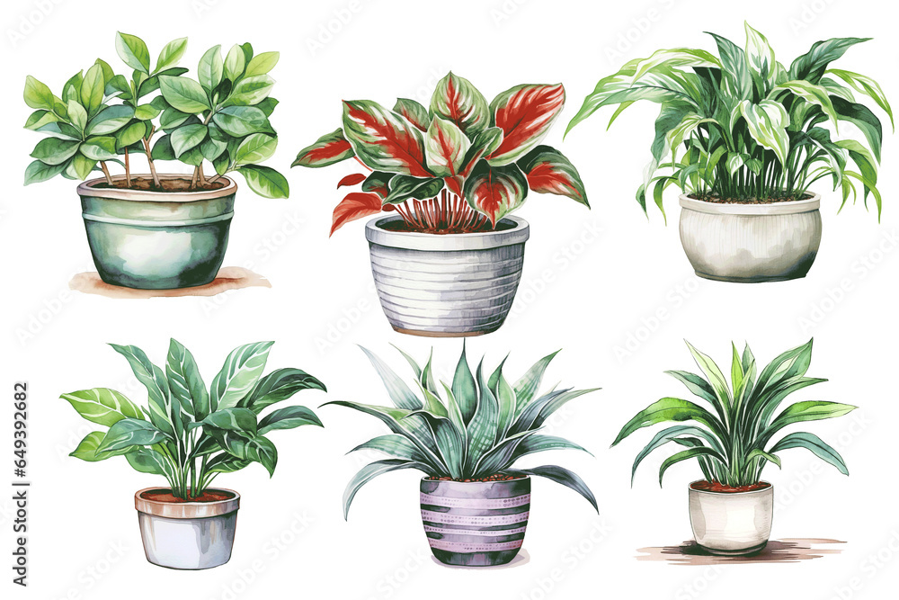Clipart collection of houseplants in pots on a transparent background, watercolor design elements