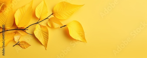 Yellow autumn leaves on a yellow background. Autumn banner. Generative AI