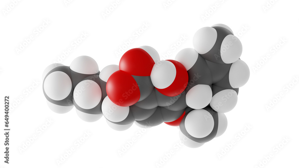 tetrahydrocannabinolic acid molecule, thca molecular structure, isolated 3d model van der Waals tetrahydrocannabinolic acid molecule, thca molecular structure, isolated 3d model van der Waals
