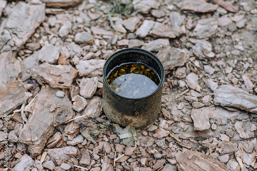 Dead worms, larvae, Maybugs in a tin can with bait. Photo of an animal insect. photo