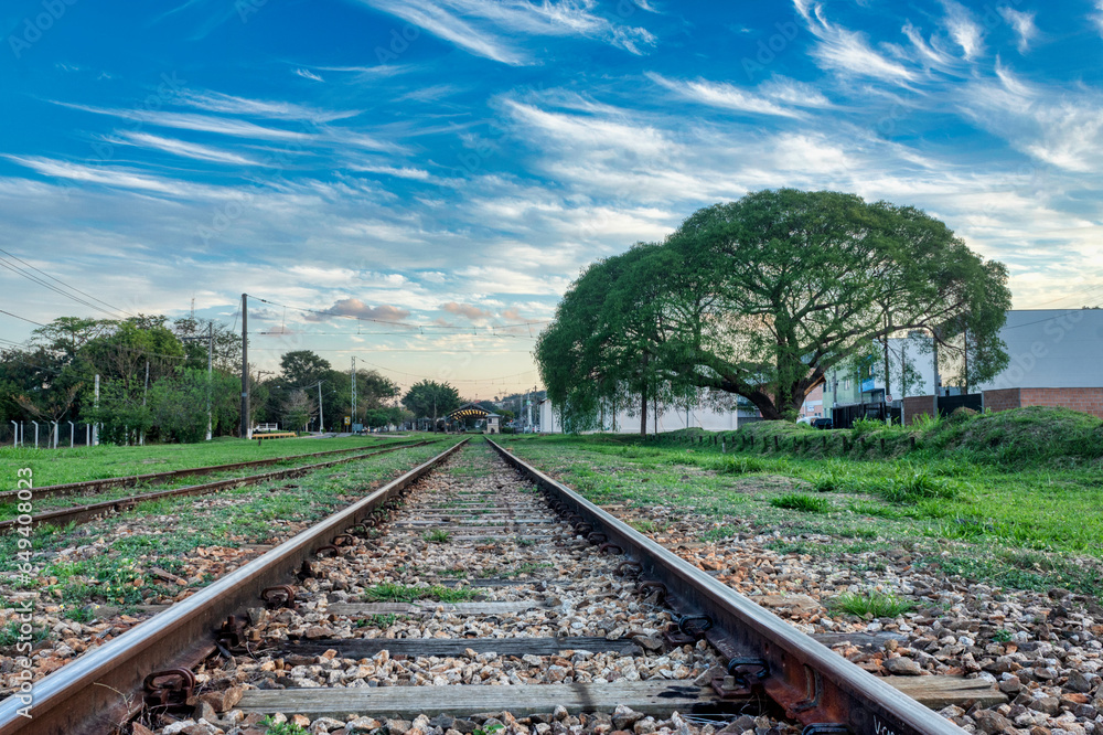 Fototapeta premium railway in the field