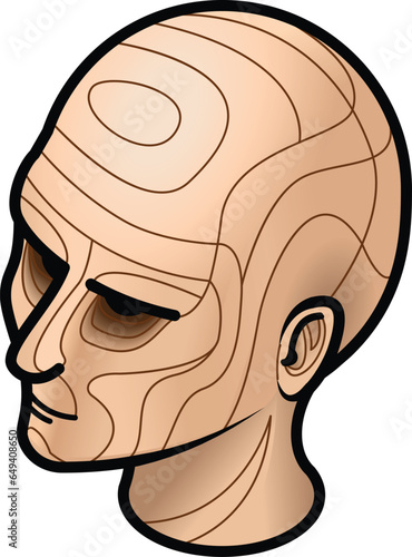 A woman's head with contour lines dividing her head into areas.