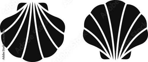 Scallop logo. Isolated scallop  on white background