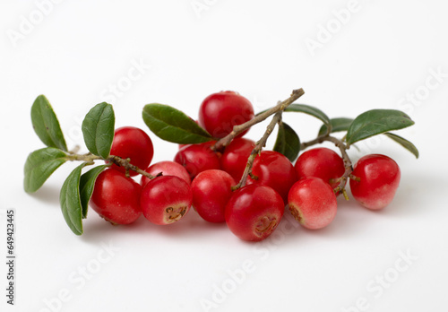 Red ripe lingonberry with leaves on white background.