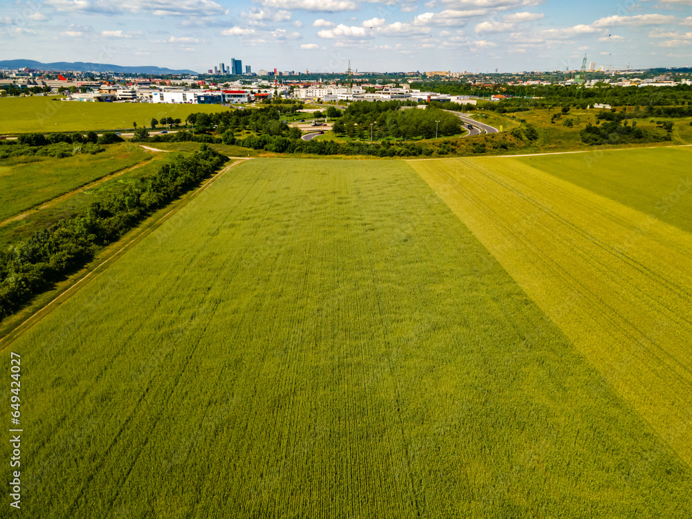 Fototapeta premium Drone view ultra wide angle down on green young wheat and rape seed southern Vienna