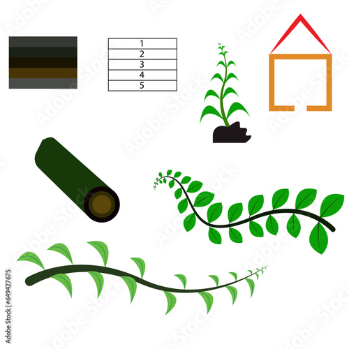 green tree leaf tree wood asset growing small tree