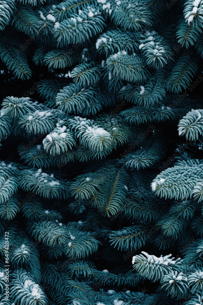 Fir tree brunch with snow close up. Shallow focus. Fluffy fir tree brunch close up. Christmas wallpaper concept. Copy space.