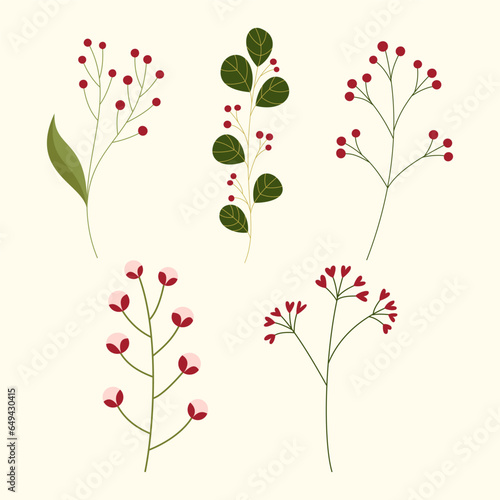 Big set botanic blossom floral elements. Branches, leaves, herbs, wild plants, flowers. Garden, meadow, field collection leaf, foliage, branches. Hand drawn illustration