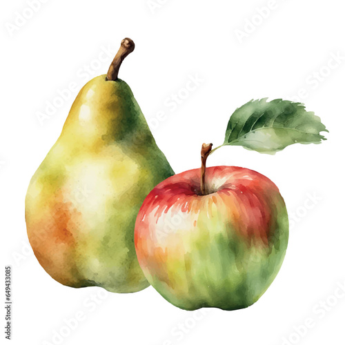 Apple and pear. Watercolor illustration. On a white clean background