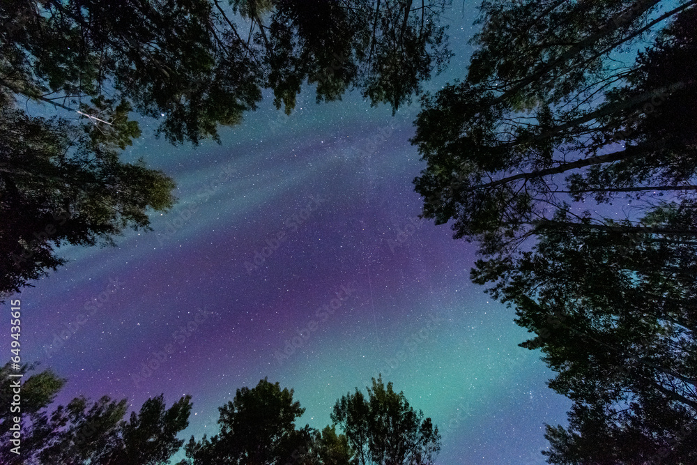 Amazing Northern Lights, British Columbia, Canada