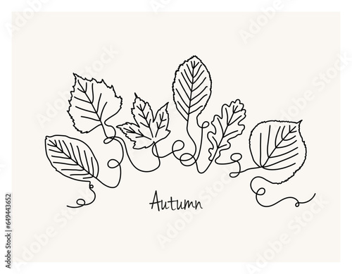 Autumn Leaves Collection with Intricate Outlines and Curved Lines from Various Trees