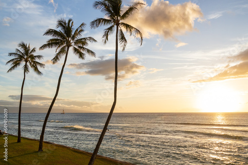 Tall palm trees and sunset on Maui beach with dark clouds and blue sky
