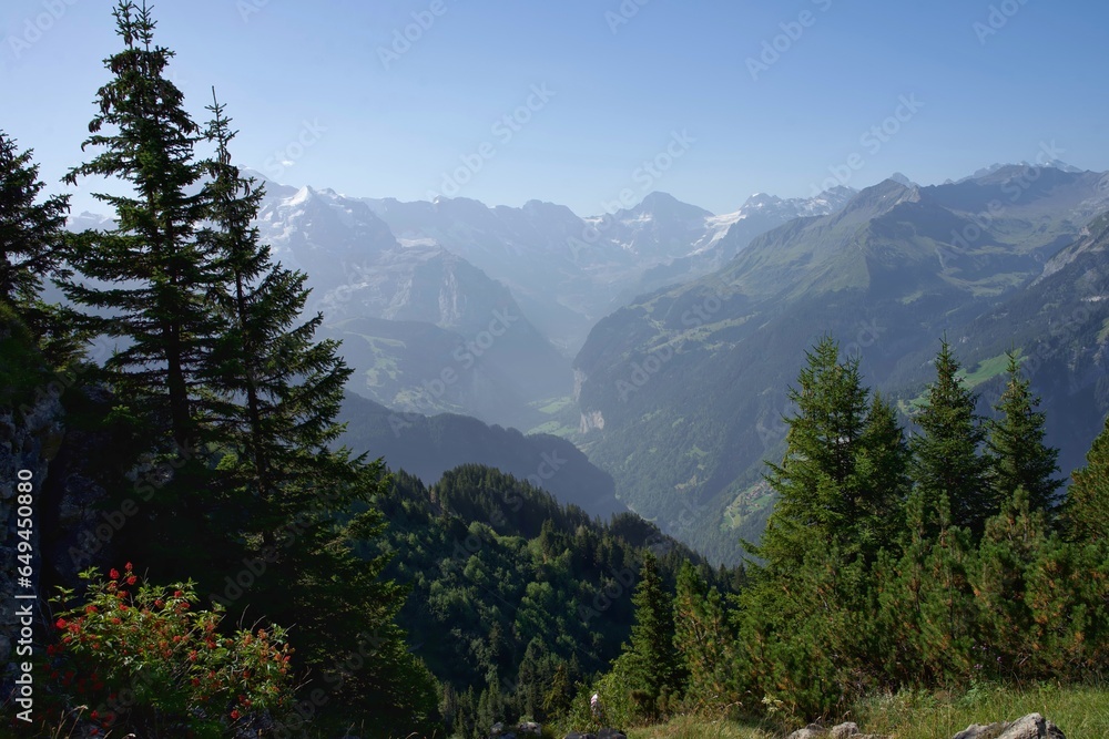 Obraz premium landscape in the mountains