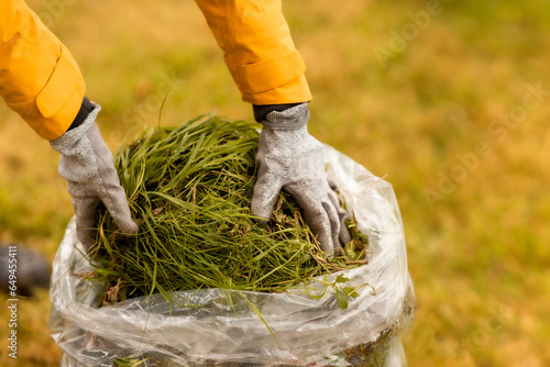 hand of a woman picking up garden waste in a plastic bag. Recycling of waste concept