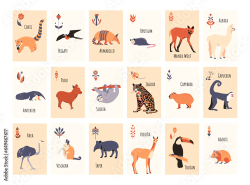 A set of cards with South American animals for childrens games, lotto or memo. Vector illustration.