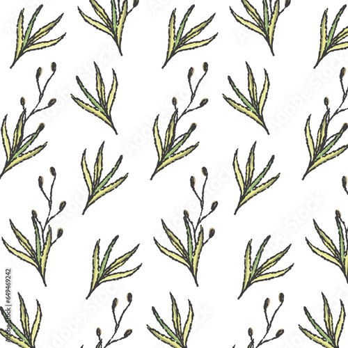 Fototapeta Naklejka Na Ścianę i Meble -  Plant grass pattern, seamless pattern on transparent background, vector botany