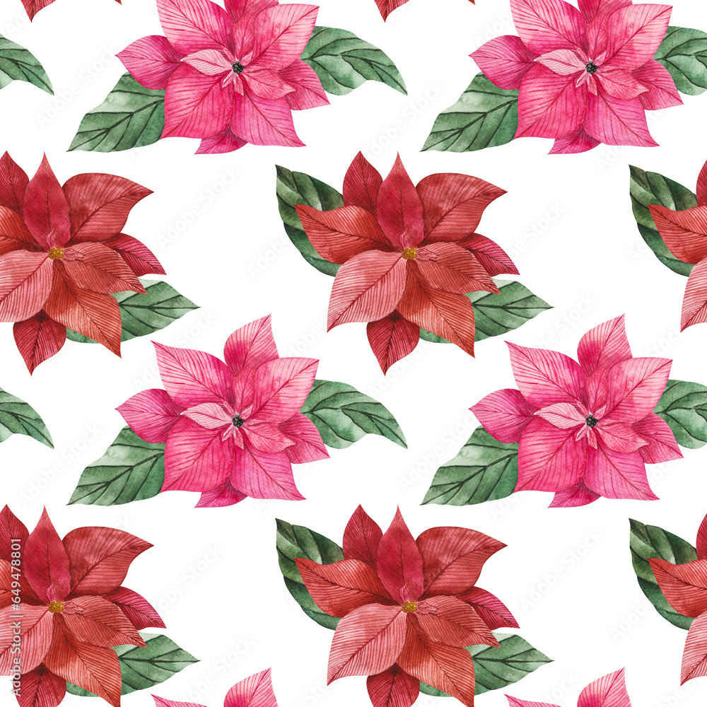 Watercolor seamless pattern of poinsettia flowers in red and pink with green vibrant leaves. Isolated clipart for Christmas design, prints, packaging, textiles. Festive flower for compositions. Watercolor seamless pattern of poinsettia flowers in red and pink with green vibrant leaves. Isolated clipart for Christmas design, prints, packaging, textiles. Festive flower for compositions.