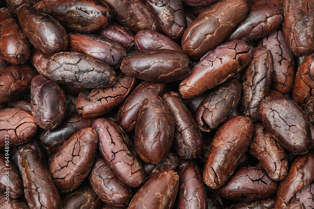 Cocoa roasted beans whole seed backed raw dark organic antioxidant Cocoa roasted beans whole seed backed raw dark organic antioxidant